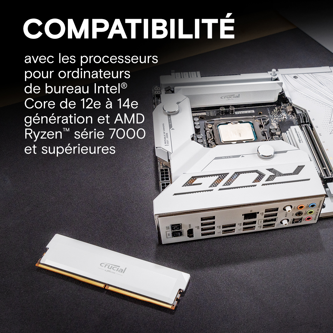 Crucial Pro Overclocking Edition 32Go (2x16Go) DDR5 6000MHz - Mémoire PC Crucial sur Cybertek.fr - 3