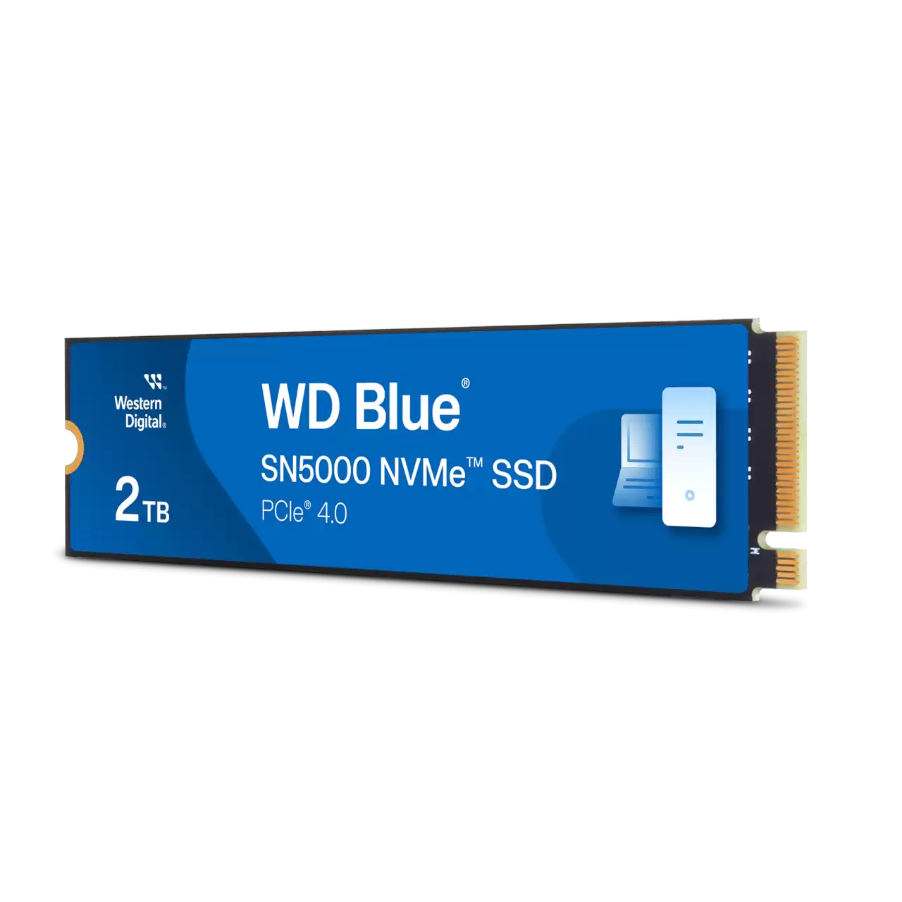 WD WDS200T4B0E  M.2 - Disque SSD WD - Cybertek.fr - 0