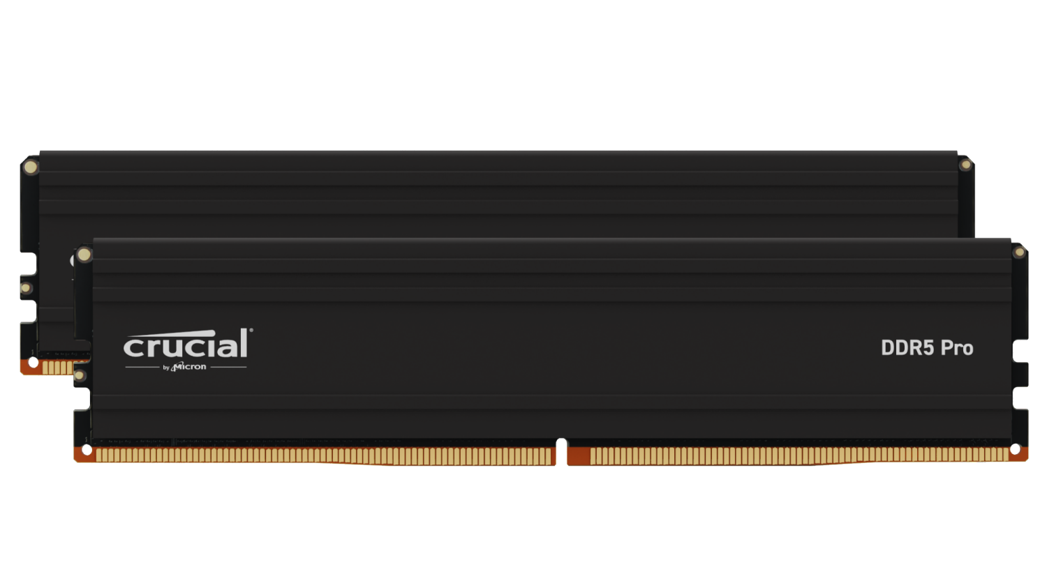 Crucial Pro 128G (2x64G) DDR5 5600MHz - Mémoire PC Crucial sur Cybertek.fr - 0