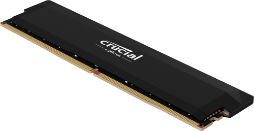 Crucial CP16G60C36U5B (1x16Go DDR5 6000 PC48000)