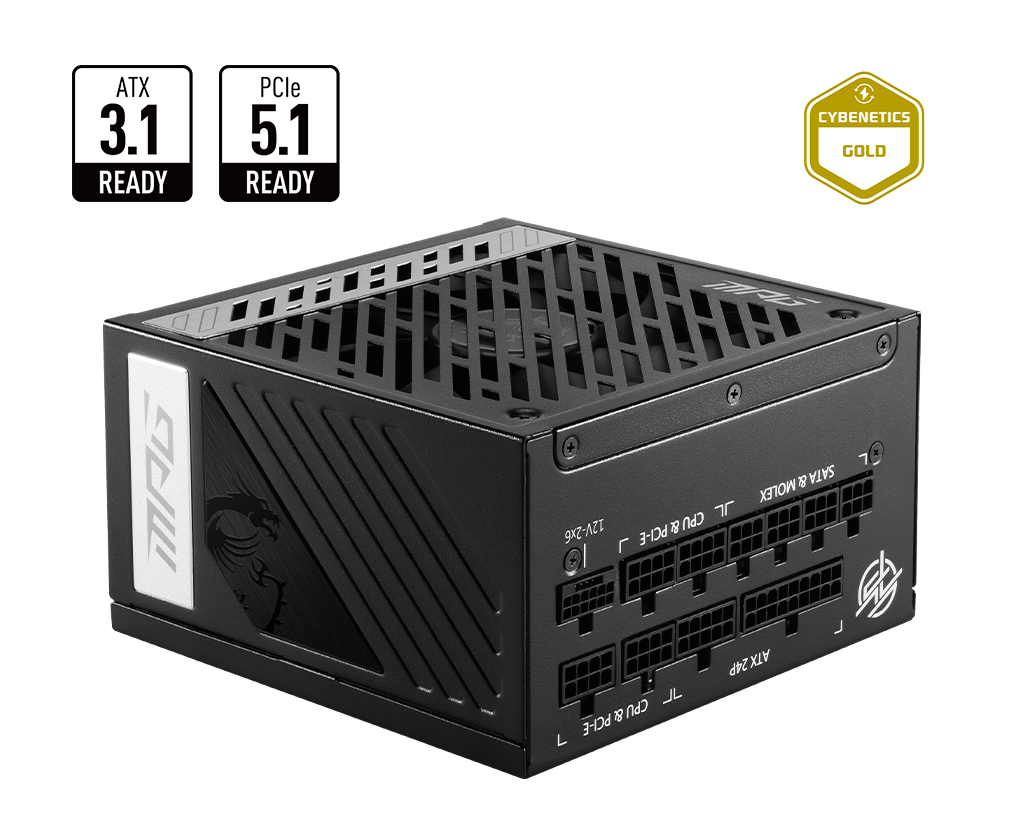 MSI MPG A850GS PCIE5 - ATX 850W - 80+ Gold (MPG A850GS PCIE5) - Achat / Vente Alimentation sur Cybertek.fr - 0